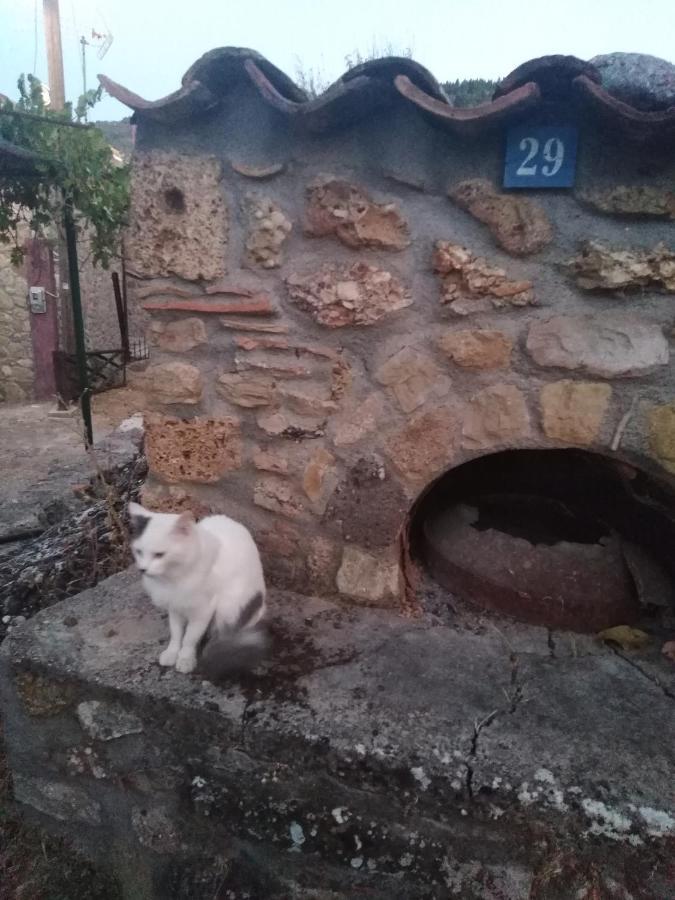 Φιλυρα Πετρινο Villa Kernitsa Esterno foto